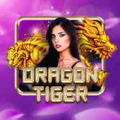 Dragon Tiger fastwin live casino game